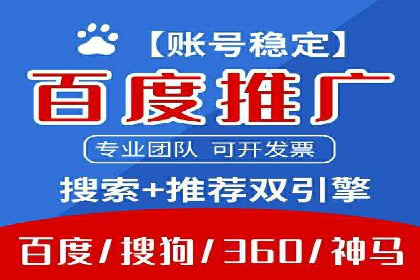 百度竞价推广运营策略：成功案例解析